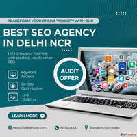 Best SEO Agency in Delhi NCR for Business Growth
