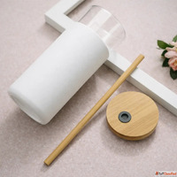 Glass Sipper with Straw