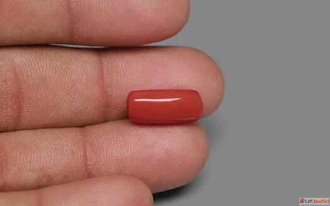 Red Coral Gemstone Moonga - Original Certified Stone RatnaBhagya