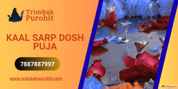 Kaal Sarp Dosh Puja Kaal Sarp Dosh Puja Cost