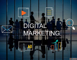 Digital Marketing Services in Noida - Elite Digital Media