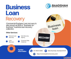 Debt Collectors - Collection Agency Near Me Baadshah Recover...