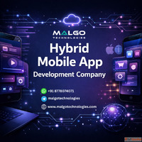 Hybrid App Solutions for iOS Android Malgo
