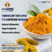 Best organic turmeric powder exporters for bulk orders