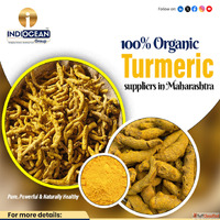 Where to buy organic turmeric powder wholesale in India