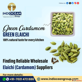 Best green cardamom exporters for bulk orders