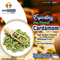 Premium green cardamoms wholesale price India