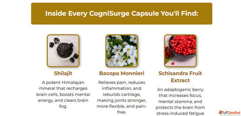 CogniSurge Now - Advanced Brain Support Formula for Memory Focus Mental Clarity