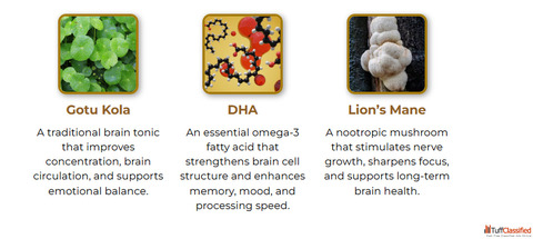 CogniSurge Now - Advanced Brain Support Formula for Memory Focus Mental Clarity