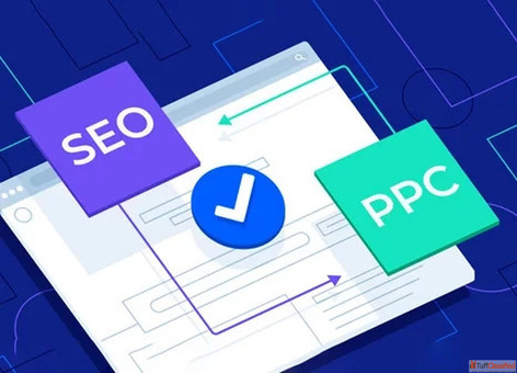 Top SEO Company in India for Growth-Driven Results