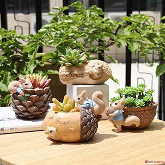 Buy Planters and Pots Online for Indoor and Outdoor Spaces