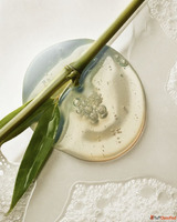 Why Sulfate-Free Cleansers Are Better for Maintaining a Heal...