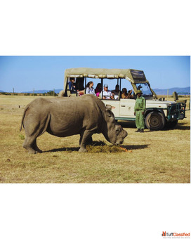 African Safaris in Kenya Wildlife Adventures Tours