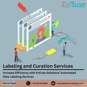 Increase Efficiency with Automated Data Labeling Services from EnFuse