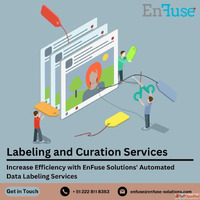 Increase Efficiency with Automated Data Labeling Services fr...
