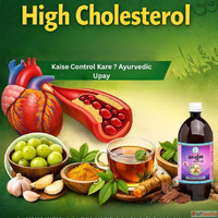 High Cholesterol Kaise Control Kare Ayurvedic Upay