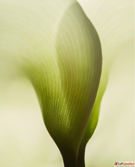 Why Gentle Skincare Works Better Than Aggressive Treatments