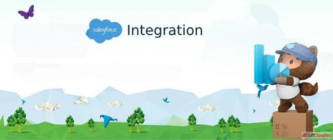 Salesforce Integration Services Salesforce Integration Partners