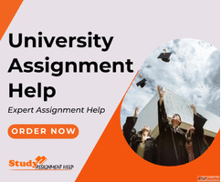 Unlock your academic journey with Professional University As...