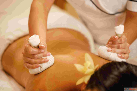 8020 Rule in Ayurveda A Simple Path to Balanced and Lasting Wellness