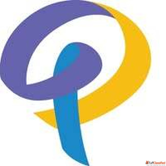 Digital Marketing Company in Jaipur Platina Web Solutions