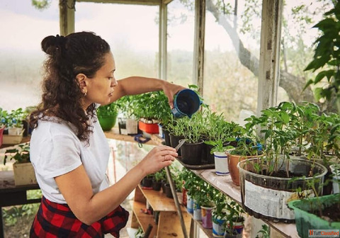 Simple Tips for Gardening at Home for Healthy Plants