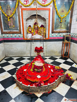 Kaal Sarp Dosh Puja In Ujjain by Expert Pandits