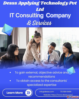 Best IT Consulting company in Houston