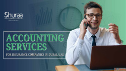 Accounting Services for Insurance Companies in Dubai UAE