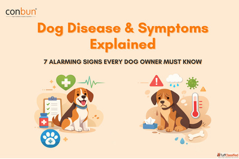 Why Is My Dog Vomiting Weak Dog Health Symptoms You Can't Ignore