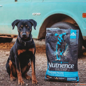 Nutrience SubZero Dog Food