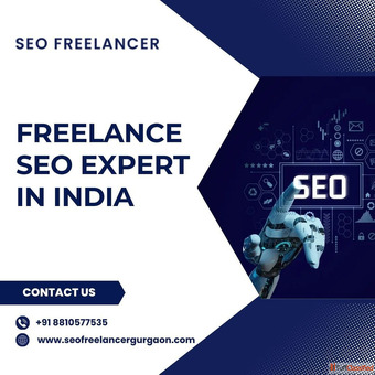 Professional Freelance SEO Expert in India for Sustainable Business Growth