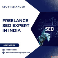 Professional Freelance SEO Expert in India for Sustainable B...