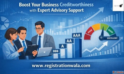 Boost Business Credit Score with Expert Advisory