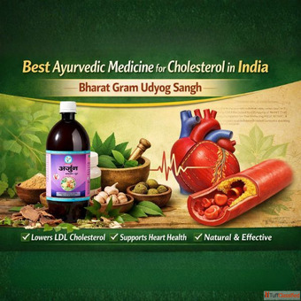 Best Ayurvedic Medicine for Cholesterol in India Bharat Gram Udyog Sangh