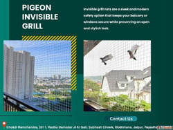 Invisible Grill Installation in Jaipur for Pigeon Control