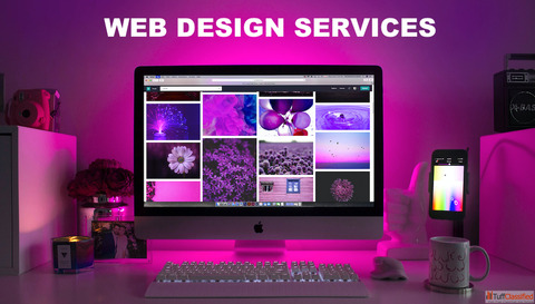 Top Website Designing Services Agency in Delhi - DigitalTechSol