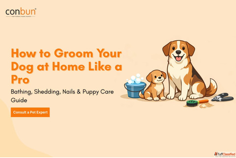 Need Better Dog Grooming at Home Top Tips for Shedding Baths Nail Care