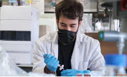 Essential Laboratory Safety Items for Safer Lab Environments...