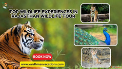 5 Must-Visit Places on Rajasthan Wildlife Tour