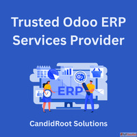 Trusted Odoo ERP Services Provider