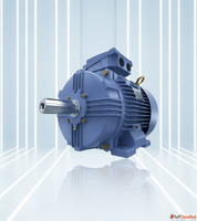 Crane duty motor manufacturer and supplier