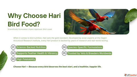 Hari bird food bird seed mix