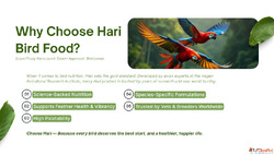 Hari bird food bird seed mix