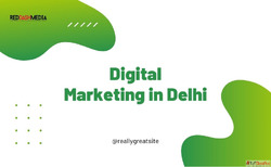 Digital Marketing Agency in Delhi for Local Businesses