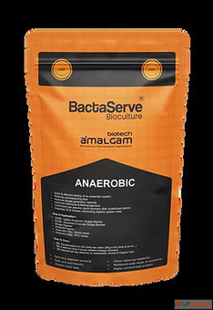 Bioculture Product for STP and Industrial Wastewater Treatment