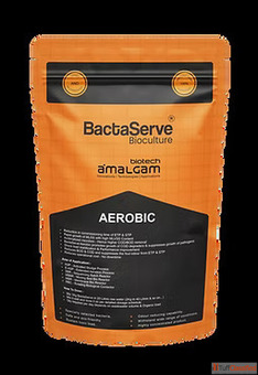 Bioculture Product for STP and Industrial Wastewater Treatment