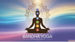 Best Online Yoga Classes in Dubai Yoga Sessions Online in In...