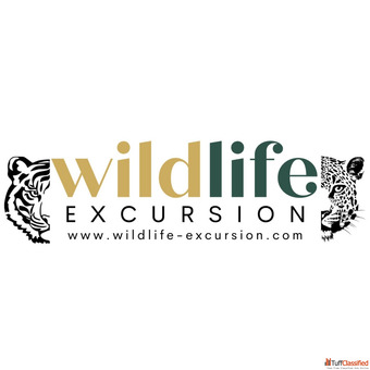 Wildlife Excursion Wildlife Safari Booking Hotel Booking
