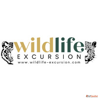 Wildlife Excursion Wildlife Safari Booking Hotel Booking